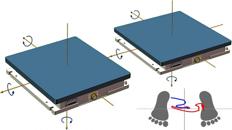 Dual Force Plates